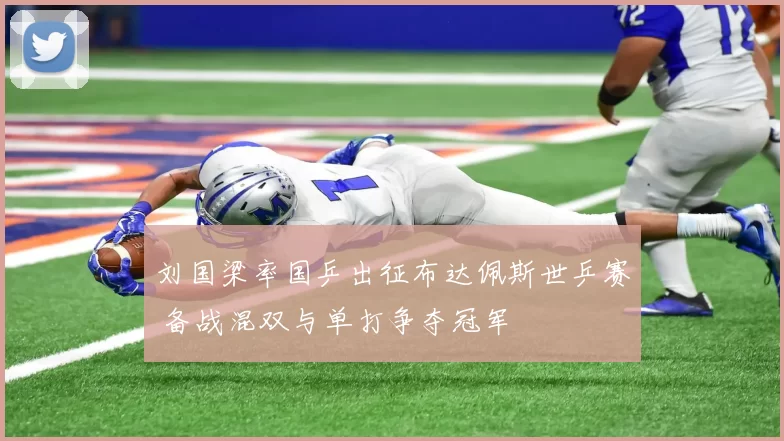 刘国梁率国乒出征布达佩斯世乒赛 备战混双与单打争夺冠军