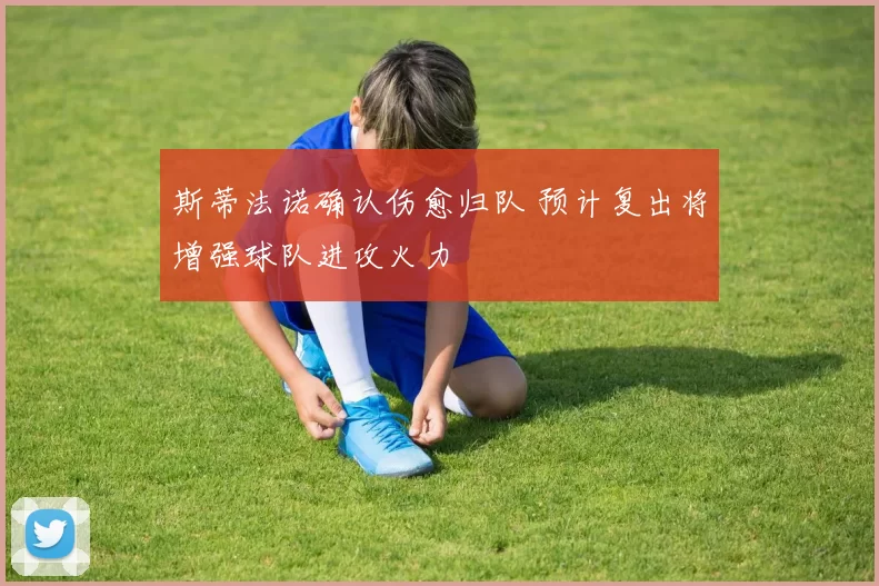 斯蒂法诺确认伤愈归队 预计复出将增强球队进攻火力