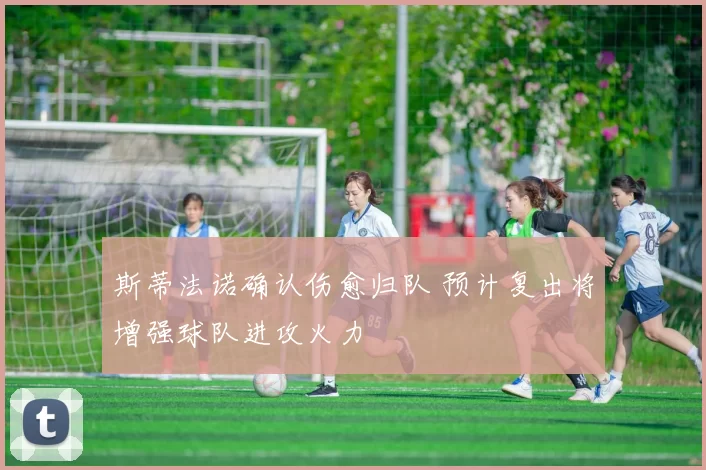 斯蒂法诺确认伤愈归队 预计复出将增强球队进攻火力