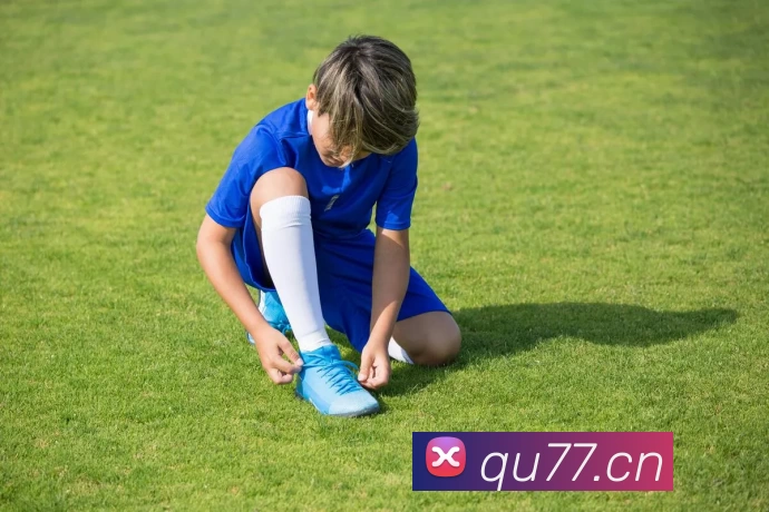 8868体育官方网站(官方)登录入口平台生态图